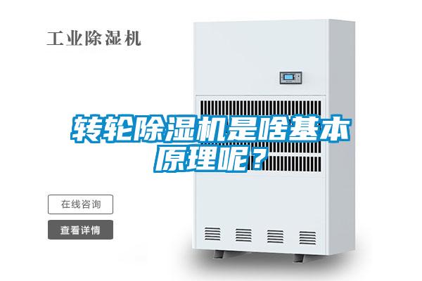 轉(zhuǎn)輪除濕機是啥基本原理呢？