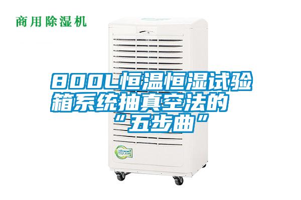 800L恒溫恒濕試驗箱系統(tǒng)抽真空法的“五步曲”