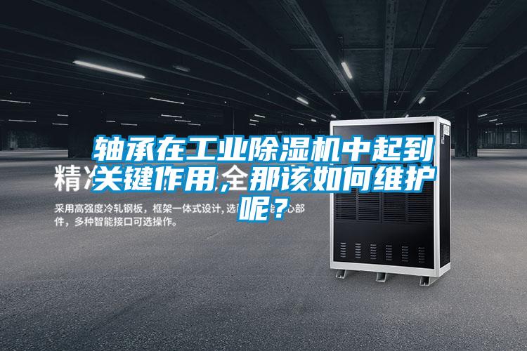 軸承在工業(yè)除濕機(jī)中起到關(guān)鍵作用，那該如何維護(hù)呢？