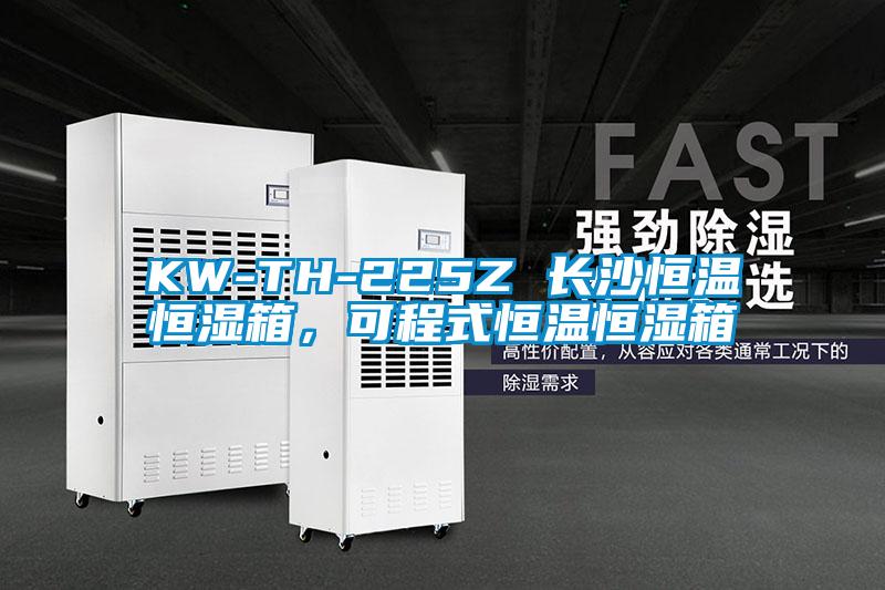 KW-TH-225Z 長沙恒溫恒濕箱，可程式恒溫恒濕箱