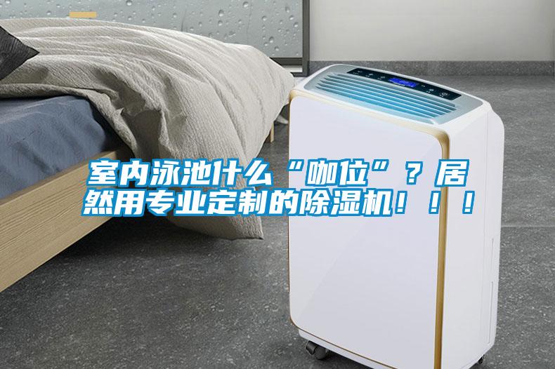 室內(nèi)泳池什么“咖位”？居然用專業(yè)定制的除濕機！?。?/></p>
						    <p style=