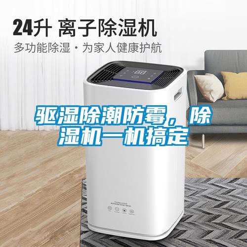 驅濕除潮防霉，除濕機一機搞定