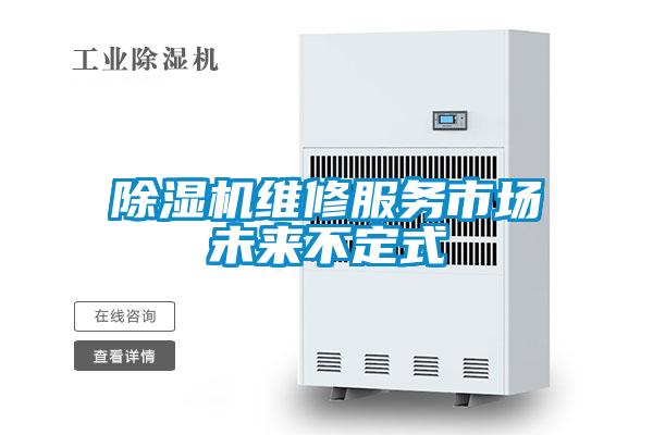 除濕機(jī)維修服務(wù)市場(chǎng)未來不定式