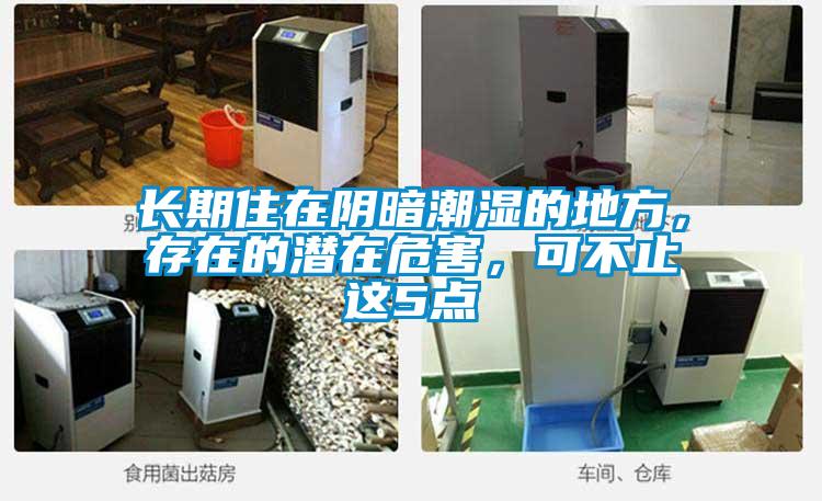 長期住在陰暗潮濕的地方，存在的潛在危害，可不止這5點(diǎn)