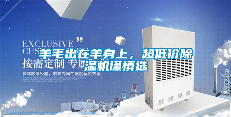 羊毛出在羊身上，超低價除濕機謹慎選