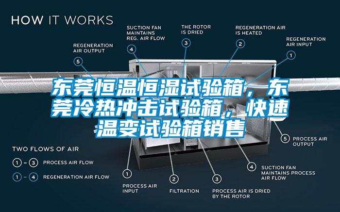 東莞恒溫恒濕試驗(yàn)箱，東莞冷熱沖擊試驗(yàn)箱，快速溫變?cè)囼?yàn)箱銷售