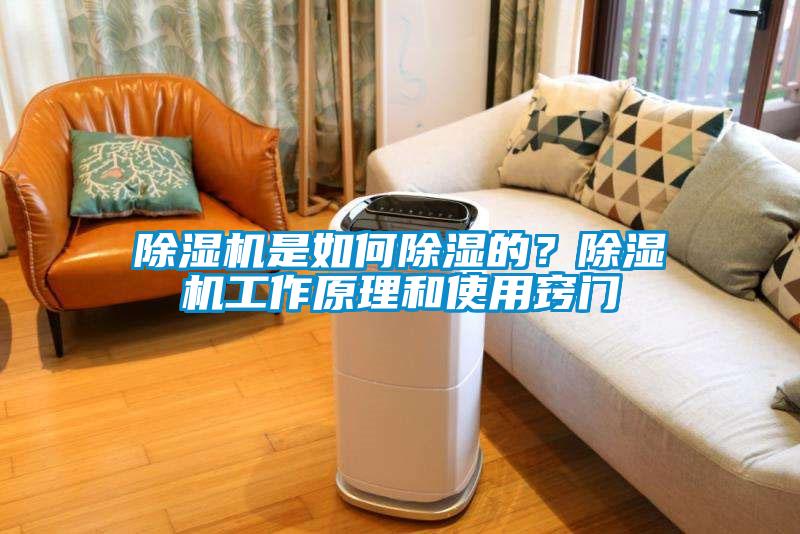 除濕機是如何除濕的？除濕機工作原理和使用竅門