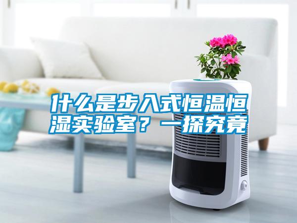 什么是步入式恒溫恒濕實(shí)驗(yàn)室？一探究竟