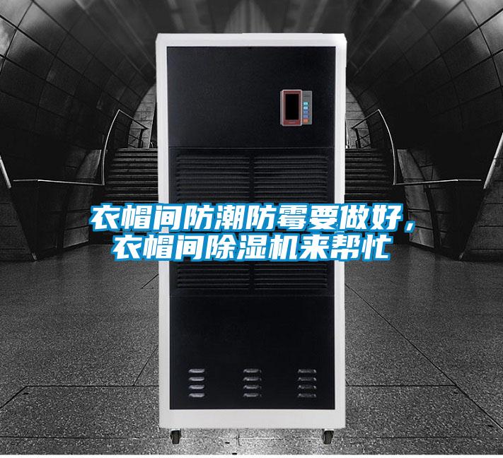 衣帽間防潮防霉要做好，衣帽間除濕機來幫忙