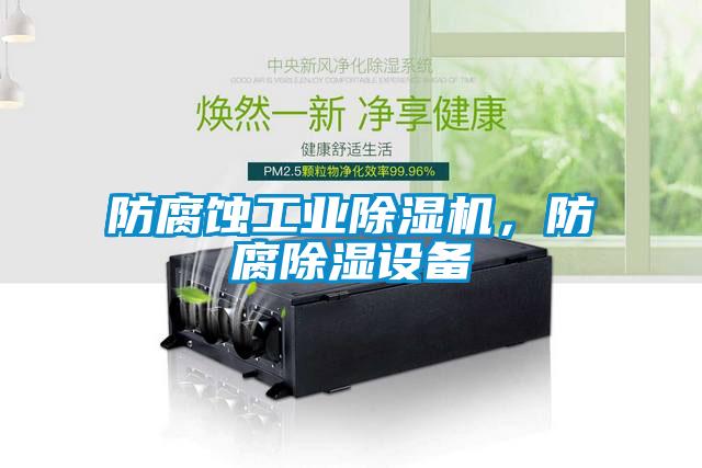 防腐蝕工業(yè)除濕機(jī)，防腐除濕設(shè)備