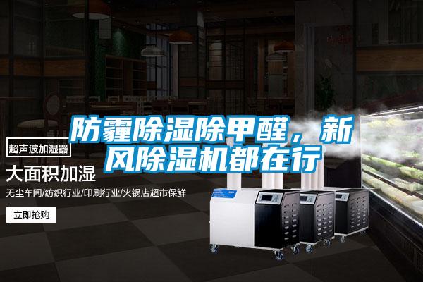 防霾除濕除甲醛，新風(fēng)除濕機(jī)都在行