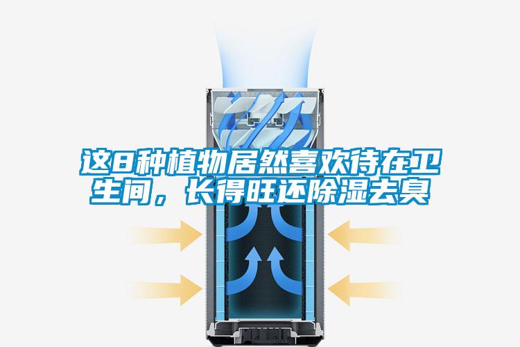 這8種植物居然喜歡待在衛(wèi)生間，長得旺還除濕去臭