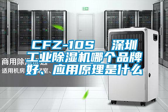 CFZ-10S  深圳工業(yè)除濕機(jī)哪個(gè)品牌好、應(yīng)用原理是什么