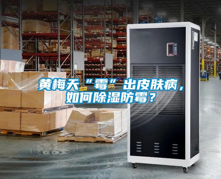 黃梅天“霉”出皮膚病，如何除濕防霉？