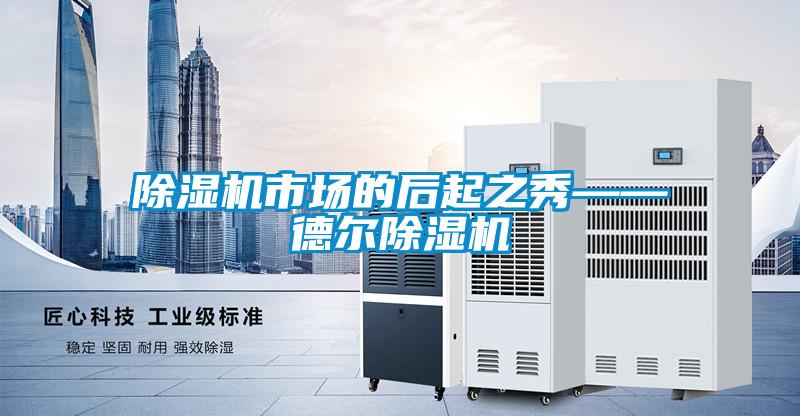 除濕機(jī)市場(chǎng)的后起之秀——德爾除濕機(jī)