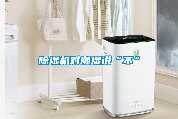 除濕機(jī)對(duì)潮濕說(shuō)“不”