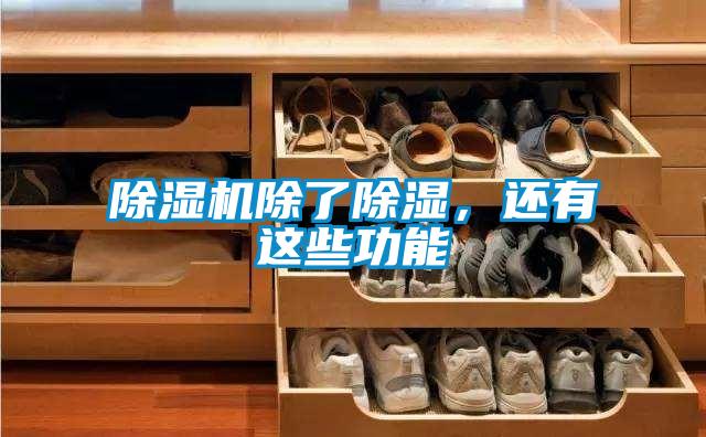 除濕機除了除濕，還有這些功能