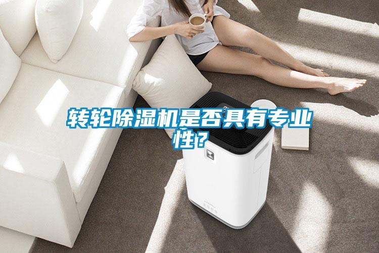 轉(zhuǎn)輪除濕機是否具有專業(yè)性？