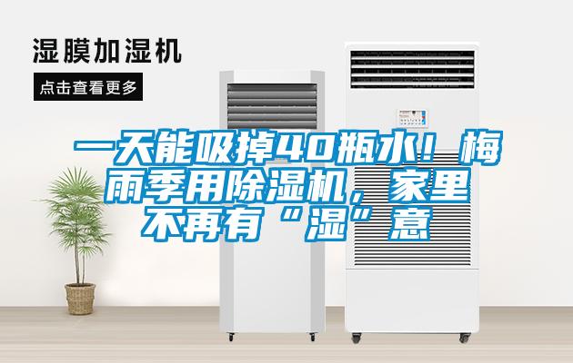 一天能吸掉40瓶水！梅雨季用除濕機(jī)，家里不再有“濕”意