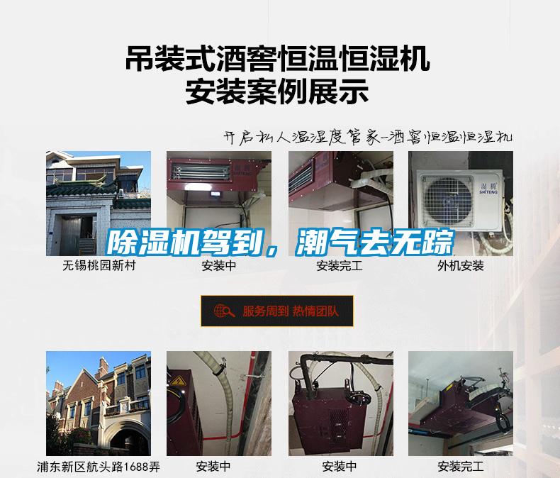 除濕機(jī)駕到，潮氣去無(wú)蹤