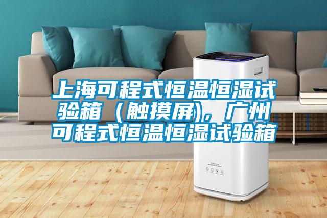 上?？沙淌胶銣睾銤裨囼?yàn)箱（觸摸屏)，廣州可程式恒溫恒濕試驗(yàn)箱