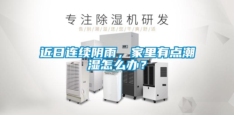 近日連續(xù)陰雨，家里有點(diǎn)潮濕怎么辦？