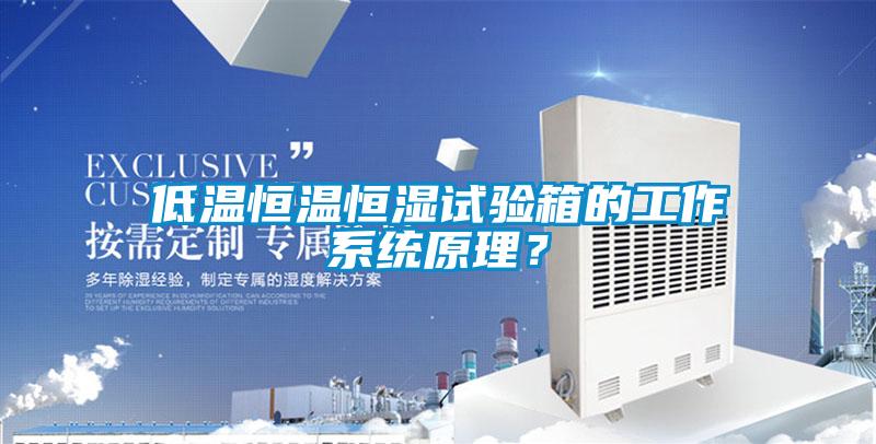 低溫恒溫恒濕試驗(yàn)箱的工作系統(tǒng)原理？