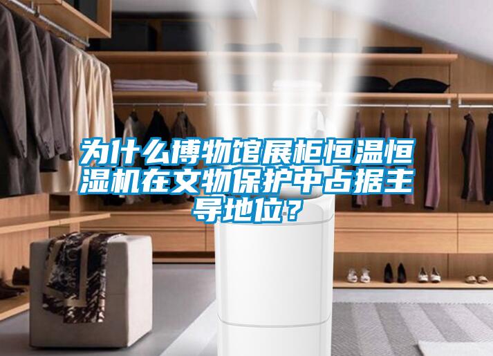 為什么博物館展柜恒溫恒濕機(jī)在文物保護(hù)中占據(jù)主導(dǎo)地位？