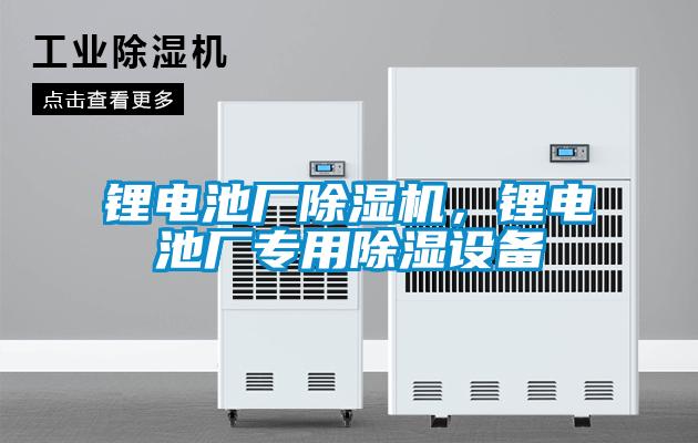 鋰電池廠除濕機(jī)，鋰電池廠專用除濕設(shè)備