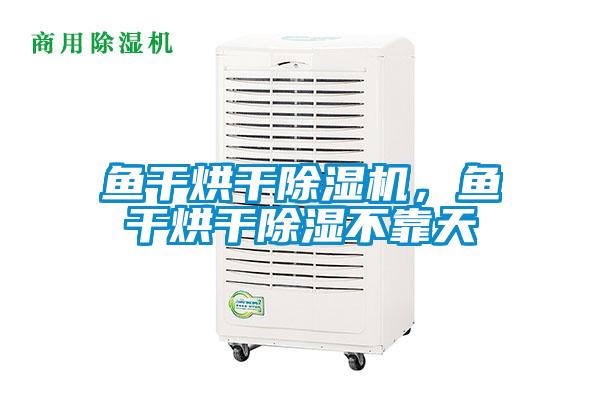 魚干烘干除濕機，魚干烘干除濕不靠天