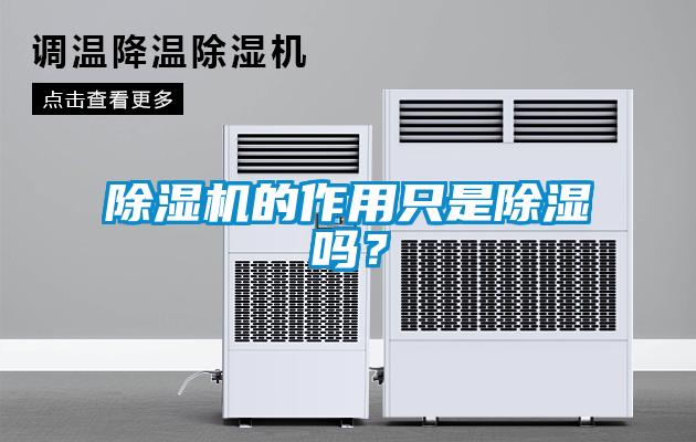 除濕機(jī)的作用只是除濕嗎？