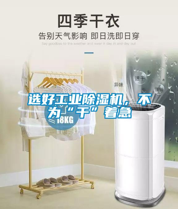 選好工業(yè)除濕機(jī)，不為“干”著急