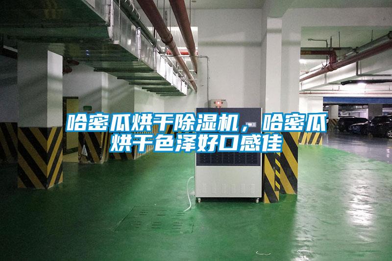 哈密瓜烘干除濕機，哈密瓜烘干色澤好口感佳