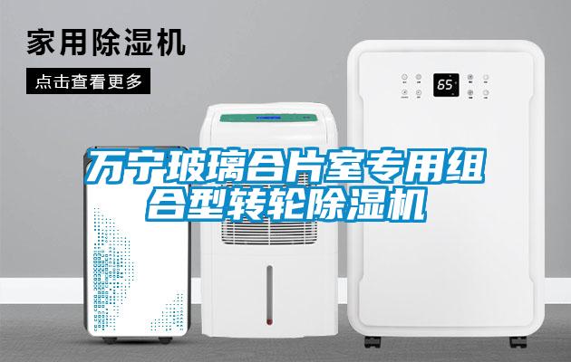 萬(wàn)寧玻璃合片室專(zhuān)用組合型轉(zhuǎn)輪除濕機(jī)