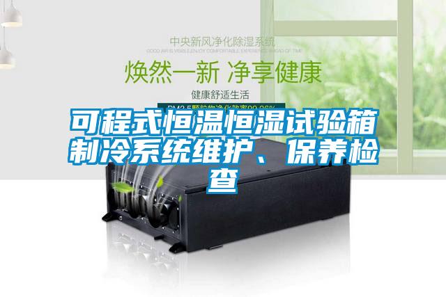 可程式恒溫恒濕試驗箱制冷系統(tǒng)維護(hù)、保養(yǎng)檢查
