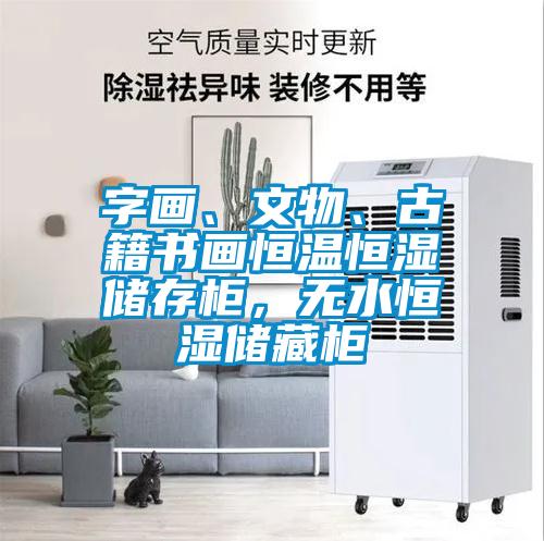 字畫、文物、古籍書畫恒溫恒濕儲存柜，無水恒濕儲藏柜