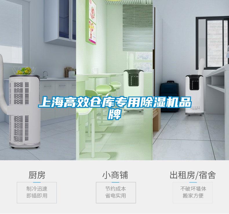上海高效倉(cāng)庫(kù)專(zhuān)用除濕機(jī)品牌