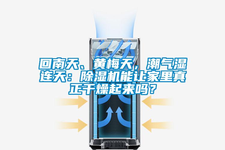 回南天、黃梅天，潮氣濕連天：除濕機能讓家里真正干燥起來嗎？