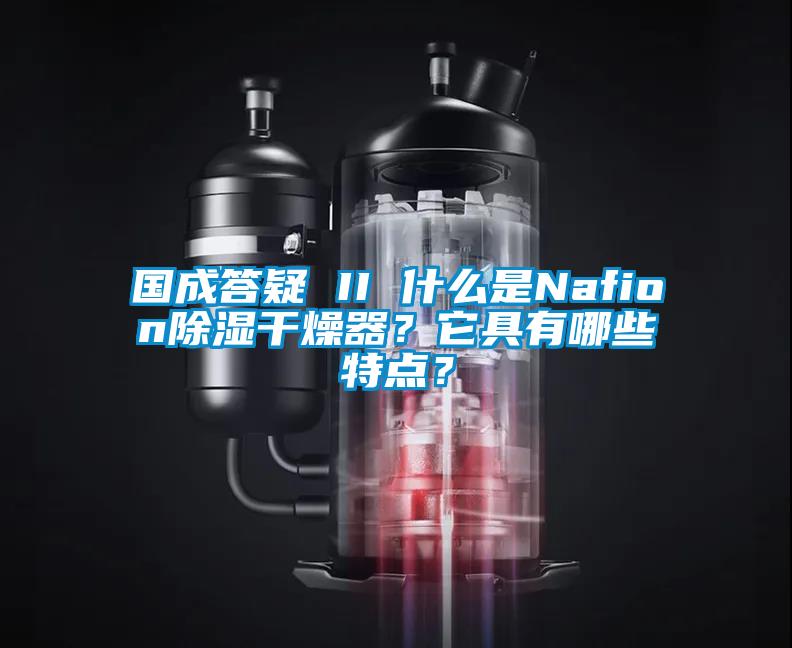 國(guó)成答疑 II 什么是Nafion除濕干燥器？它具有哪些特點(diǎn)？