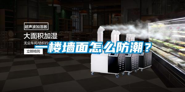 一樓墻面怎么防潮？