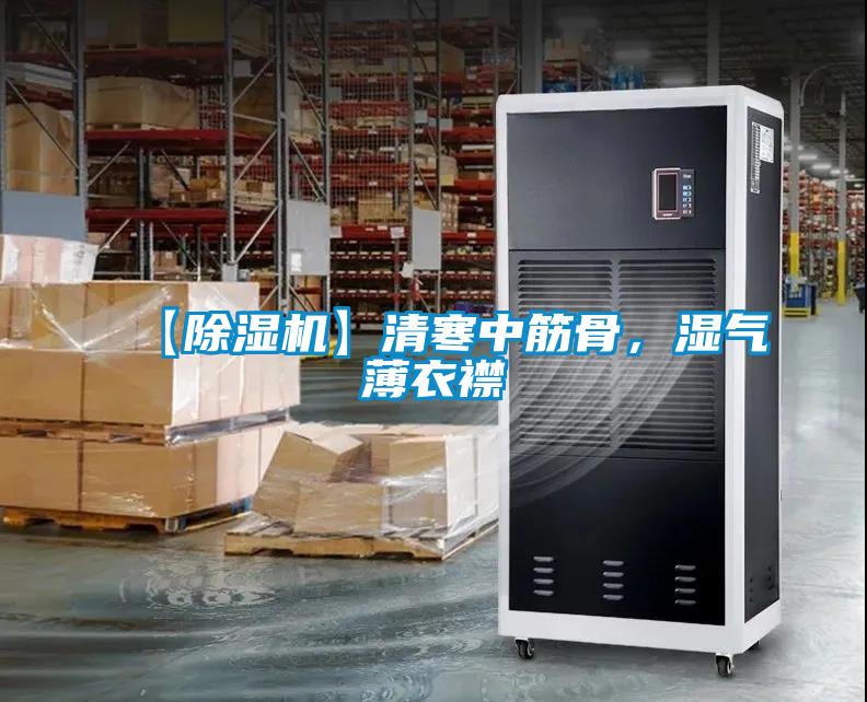 【除濕機】清寒中筋骨，濕氣薄衣襟