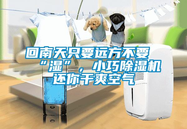 回南天只要遠(yuǎn)方不要“濕”，小巧除濕機(jī)還你干爽空氣