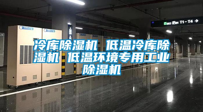 冷庫除濕機(jī) 低溫冷庫除濕機(jī) 低溫環(huán)境專用工業(yè)除濕機(jī)