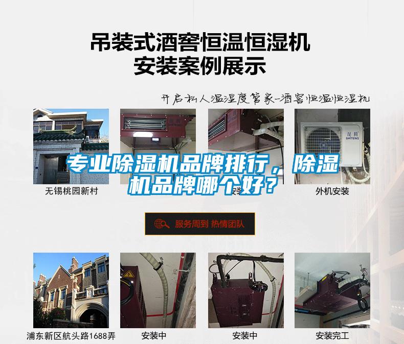 專業(yè)除濕機(jī)品牌排行，除濕機(jī)品牌哪個好？