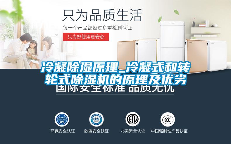 冷凝除濕原理_冷凝式和轉輪式除濕機的原理及優(yōu)劣