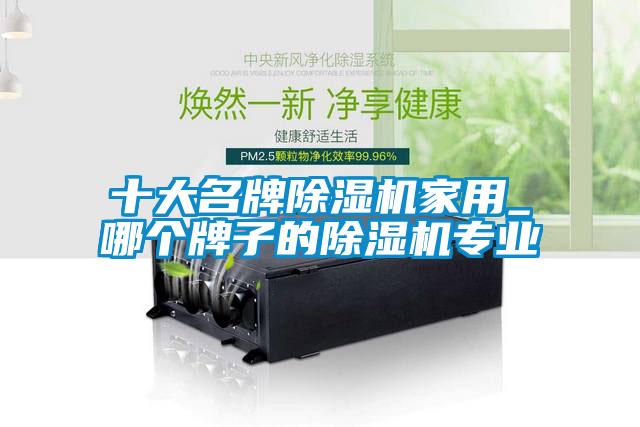 十大名牌除濕機(jī)家用_哪個牌子的除濕機(jī)專業(yè)