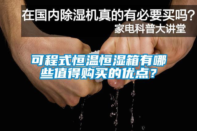 可程式恒溫恒濕箱有哪些值得購買的優(yōu)點？