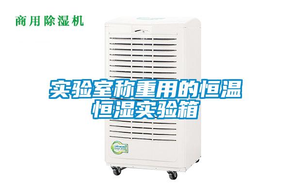 實(shí)驗(yàn)室稱重用的恒溫恒濕實(shí)驗(yàn)箱
