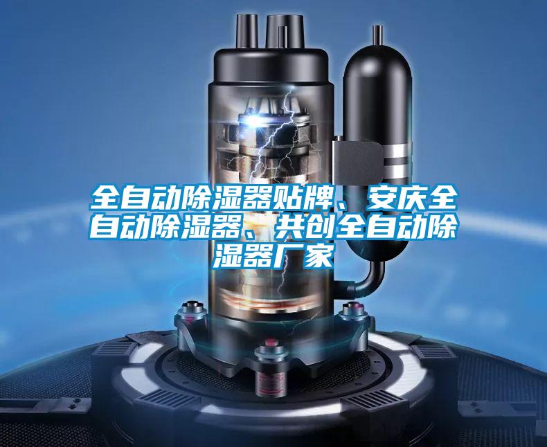 全自動(dòng)除濕器貼牌、安慶全自動(dòng)除濕器、共創(chuàng)全自動(dòng)除濕器廠家