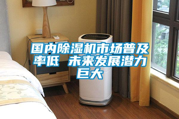 國內(nèi)除濕機市場普及率低 未來發(fā)展?jié)摿薮?/></p>
						    <p style=